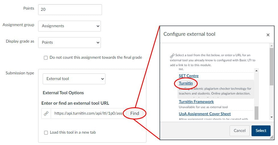 Canvas Assignment settings LTI tool