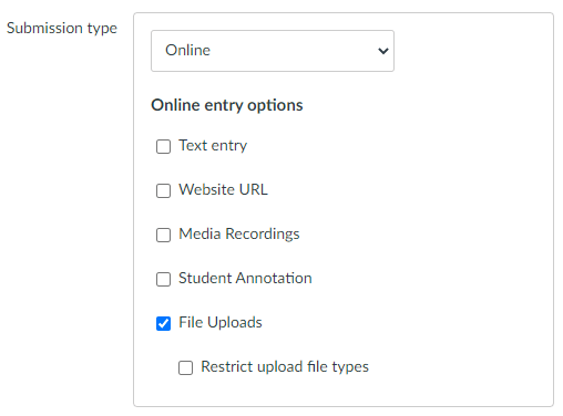 screenshot of Canvas' online assignment option