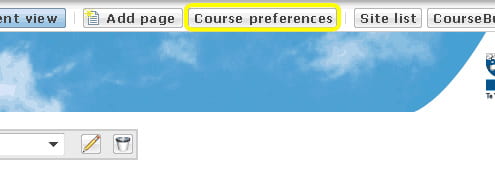 CourseBuilder's Course Preferences button