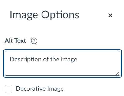 Image options in Canvas